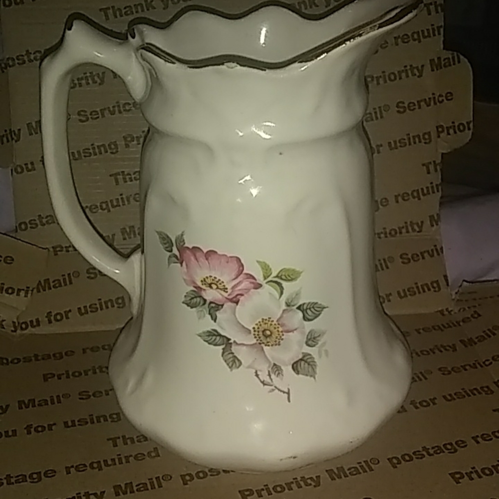 Vintage House of Webster Ceramic  Pilsher